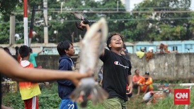 Kelincahan: Fondasi Kecepatan, Ketepatan, dan Adaptasi